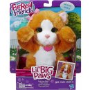 Hasbro FurReal Friends Lil' koťátko