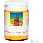 TCM Herbs Svěžest podvečerní pagody 185 100 tablet – Sleviste.cz
