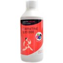 SportWave Carnitine 220000 500 ml