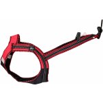 Zero DC postroj FASTER ROYAL psí spřežení – Zboží Dáma