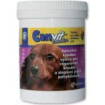 Canvit Chondro pro psy 250 g – Hledejceny.cz
