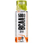 Extrifit BCAA 5000 2:1:1 Shot 90 ml – Hledejceny.cz