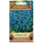 MORAVOSEED Pomněnka lesní modrá – Hledejceny.cz