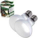 Repti Zoo Beam Spot 60 W – Zboží Dáma