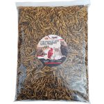 Apetit BLACK SOLDIER FLY LARVEA 0,5 kg – Hledejceny.cz