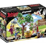 Playmobil 70933 Panoramix s kouzelným lektvarem – Zbozi.Blesk.cz