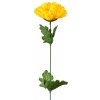 Květina Chryzantéma žlutá 48 cm, balení 24 ks