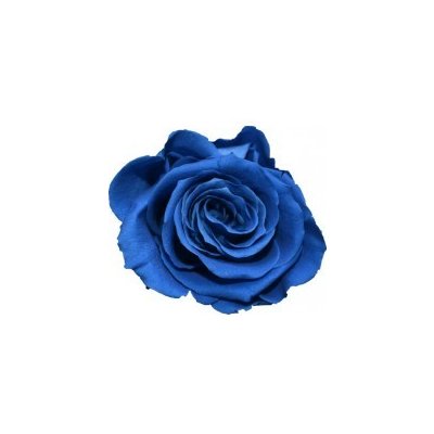 Aneta Dark blue - tmavě modrá (Stabilizovaná "věčná" růže v keramickém obalu ve tvaru srdce)