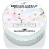 Svíčka Kringle Candle Warm Cotton 35 g