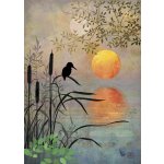 Přání K028 BUG ART – Zboží Dáma