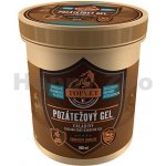 Topvet Pozátěžový gel - chladivý 500 ml – Zboží Dáma