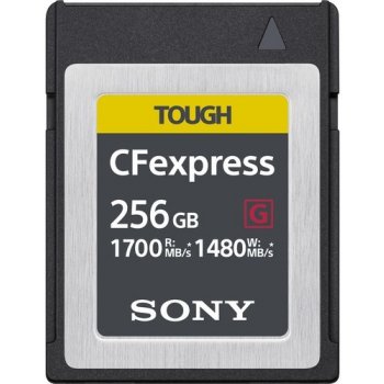 Sony 256 GB CEBG256