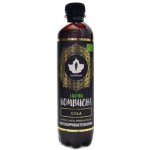 Puhdistamo Kombucha BIO 370 ml ginger lemon Bio Kombucha zázvor-citrón – Hledejceny.cz