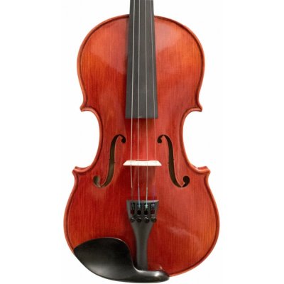 Petz violin set GT20VN – Zboží Mobilmania
