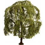 Noch Smuteční vrba – Sleviste.cz