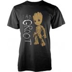 imago Dámské tričko Guardians of the Galaxy 2 I Am Groot černá – Zboží Mobilmania