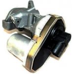 AGR-Ventil MAGNETI MARELLI 571822112038