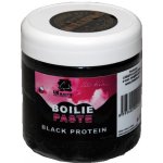 LK Baits boilies Paste 250g Ice Vanilla – Hledejceny.cz