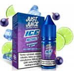 Just Juice Salt ICE Blackcurrant & Lime 10 ml 20 mg – Hledejceny.cz