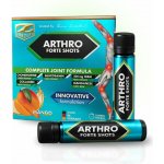 Z Konzept Arthro Forte shots mango 20 ampulí – Hledejceny.cz