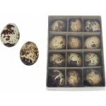 Dekorační velikonoční vajíčka, 12 ks X7940 – Sleviste.cz