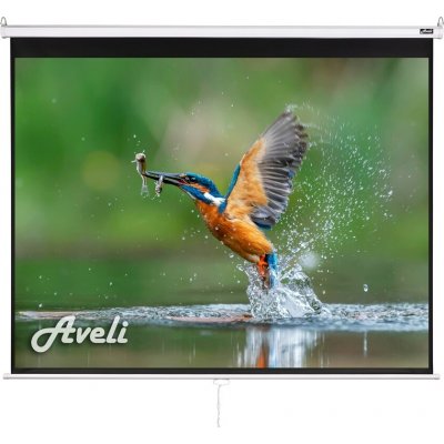 Aveli 200x150cm 4:3 98" XRT-00105 – Hledejceny.cz