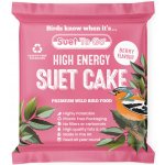 Unipet International Ltd. Ptačí lojový koláč s bobulemi Suet To Go 280 g – Hledejceny.cz