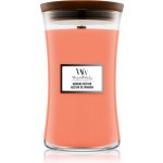 WoodWick Manuka Nectar 609,5 g – Hledejceny.cz