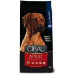 Cibau Dog Adult maxi 2 x 12 kg – Hledejceny.cz
