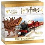 Witor's Harry Potter jízdenka do bradavic sušenka s mléčnou čokoládou 126 g – Zboží Dáma