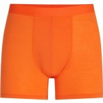 Icebreaker Mens Anatomica Boxers Ray – Zboží Dáma