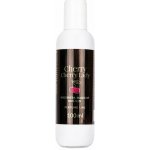Nehtyprofi Tvrdidlo na akryl Liquid 100 ml – Hledejceny.cz