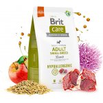 Brit Care Dog Hypoallergenic Adult Small Breed Lamb 3 kg – Hledejceny.cz