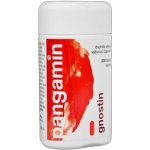 Pangamin Gnostin 200 tablet – Hledejceny.cz