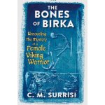The Bones of Birka: Unraveling the Mystery of a Female Viking Warrior – Hledejceny.cz