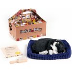 PERFECT PETZZZ SPÍCÍ KOTĚ – Zboží Mobilmania