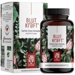 Naturtreu Krevní síla Komplex železa 120 kapslí – Hledejceny.cz