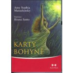 Karty Bohyně - Amy Sophia Marashinsky – Sleviste.cz