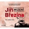 Audiokniha Mizení - Jiří Březina - Jakub Saic