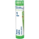 AVENA SATIVA POR 5CH GRA 1X4G – Hledejceny.cz