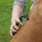 Trixie Vyčesávací hrablo s výměnitelnou hlavou pro psy 8 x 14 cm – Zboží Mobilmania