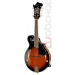 Harley Benton HBMA-100 VS – Hledejceny.cz