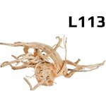 Surpanshop.cz kořen Finger Wood L113 52 cm – Zboží Mobilmania