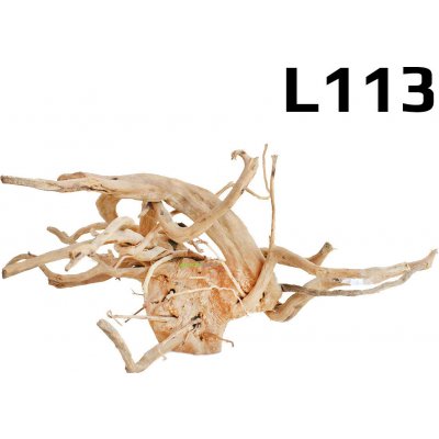 Surpanshop.cz kořen Finger Wood L113 52 cm – Zboží Mobilmania