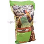 Energys Krmivo pro nosnice KLASIK 10 kg – Zboží Dáma Energys Krmivo pro nosnice KLASIK 10 kg – Zboží Dáma