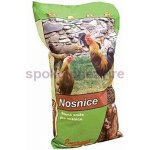 Energys Krmivo pro nosnice KLASIK 10 kg – Sleviste.cz