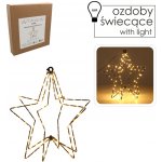 Pro-Tech shop Světelná LED hvězda 30cm 95 LED teplá bílá na baterie 69553 – Hledejceny.cz