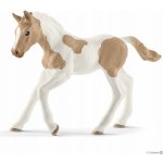 Schleich Hříbě plemene Paint Horse – Zboží Mobilmania