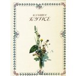 Kytice - Karel Jaromír Erben – Hledejceny.cz