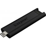 Kingston DataTraveler Max 256GB DTMAX/256GB – Zboží Živě